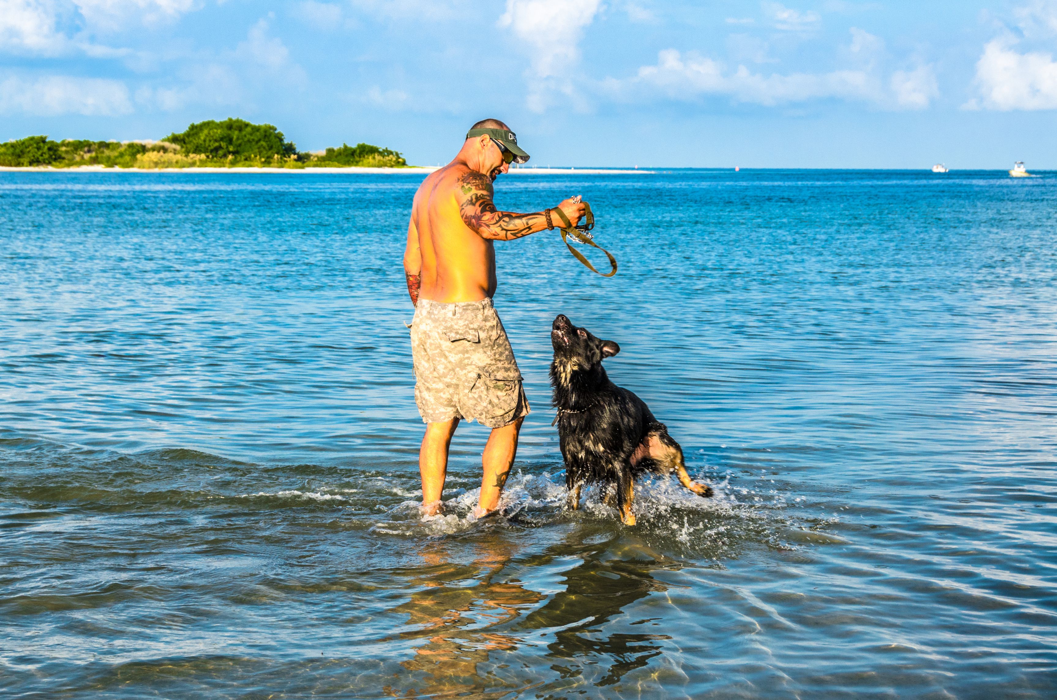 Dog Beach Park Visit Fort Myers Beaches in SW FL